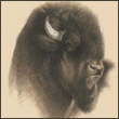 EL_TOROS